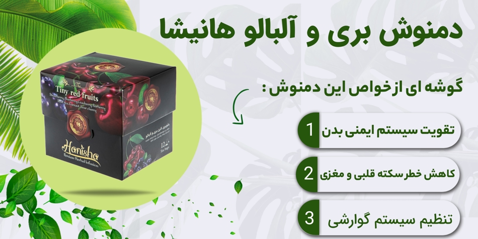 بلوبری آلبالو